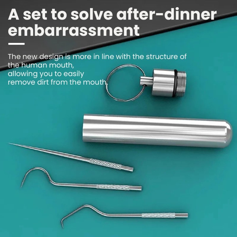 Stainless Steel Toothpick Port - Lock Picking Set 评论和价格