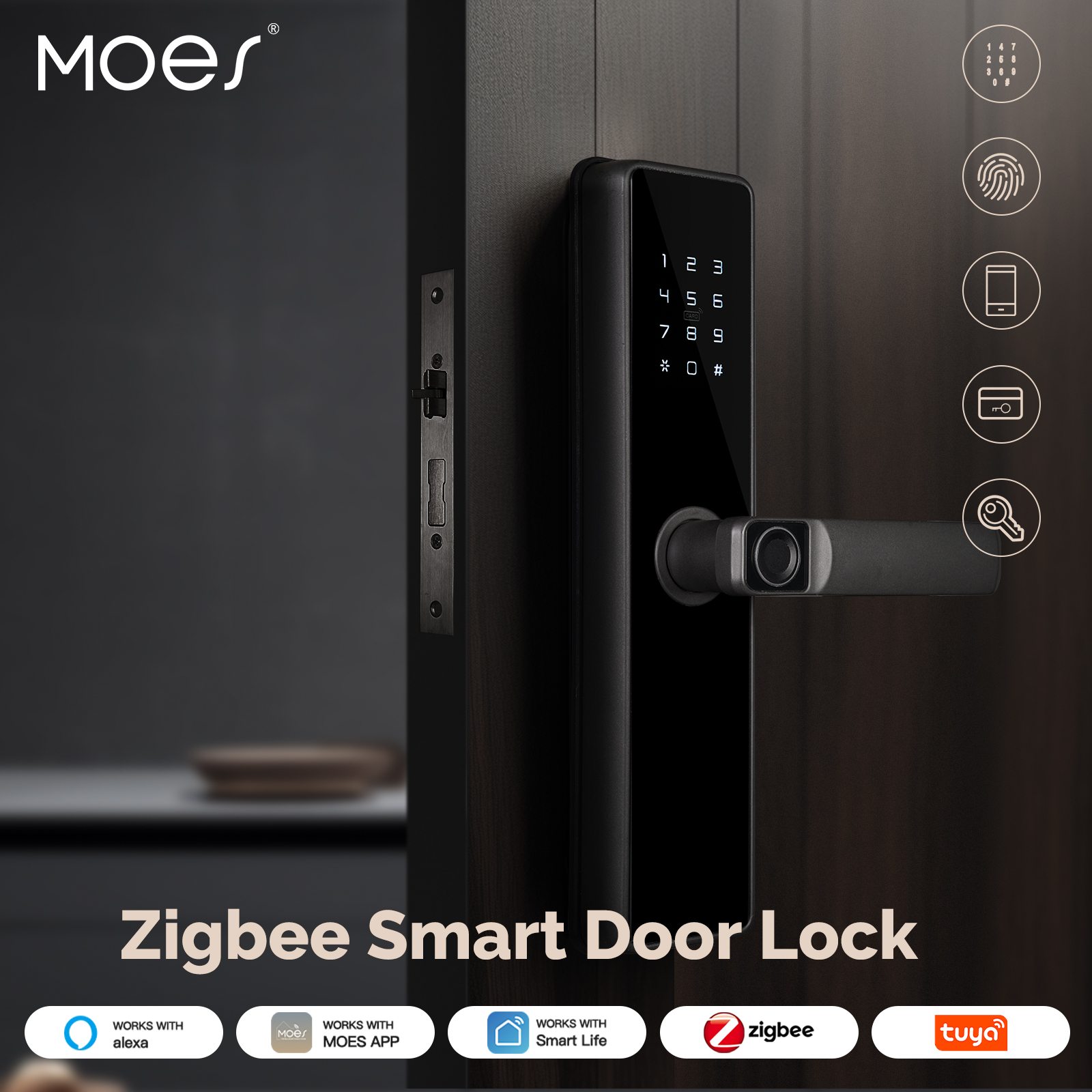 MOES Tuya ZigBee Smart Door Lo - Home Security Tapo 评论和价格