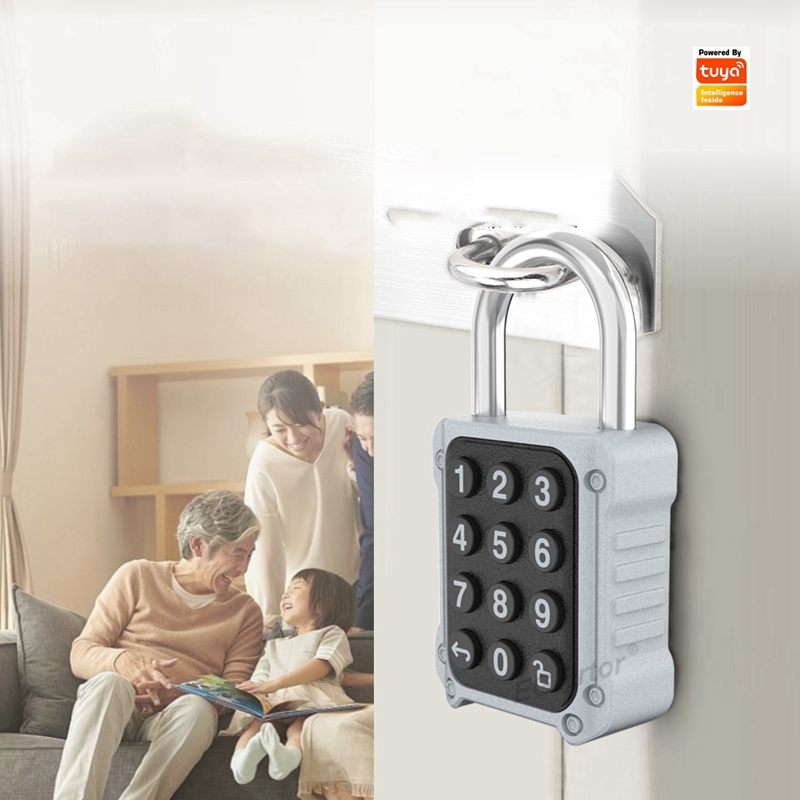 EGFirtor Tuya APP Electronic S - Home Security Keypad 评论和价格