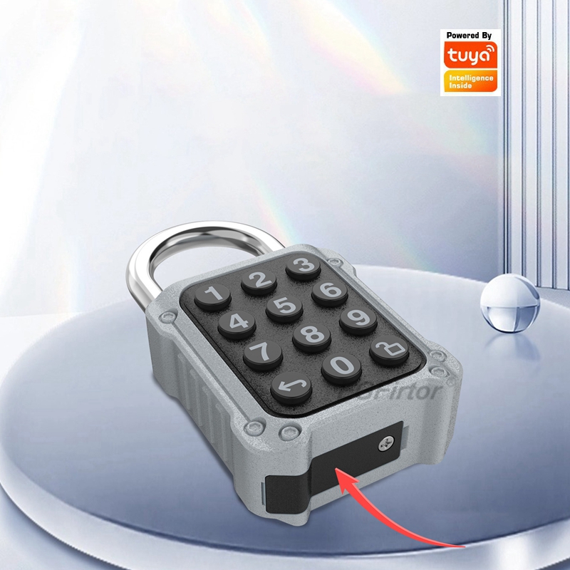 EGFirtor Tuya APP Electronic S - Home Security Keypad 评论和价格
