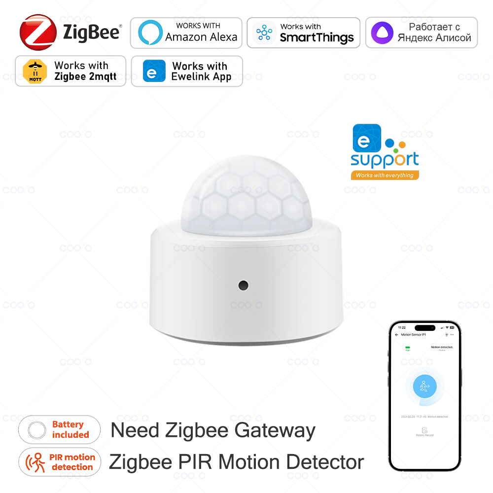 Zigbee Mini PIR Motion Sensor  - Home Security With Alarm 评论和价格