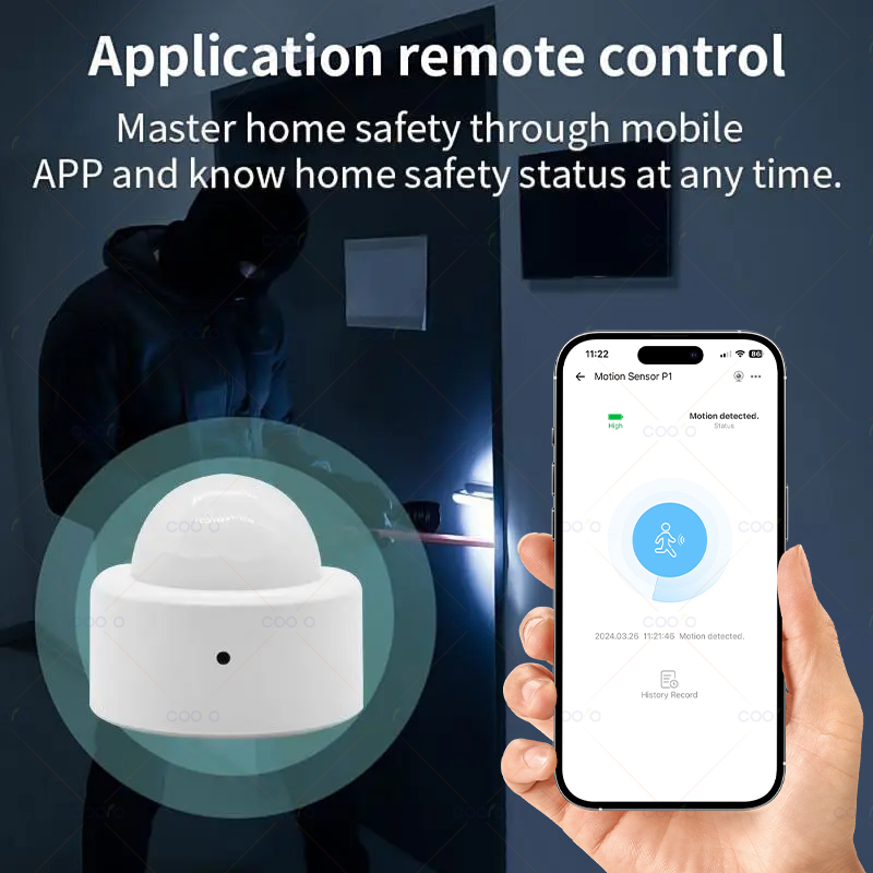 Zigbee Mini PIR Motion Sensor  - Home Security With Alarm 评论和价格